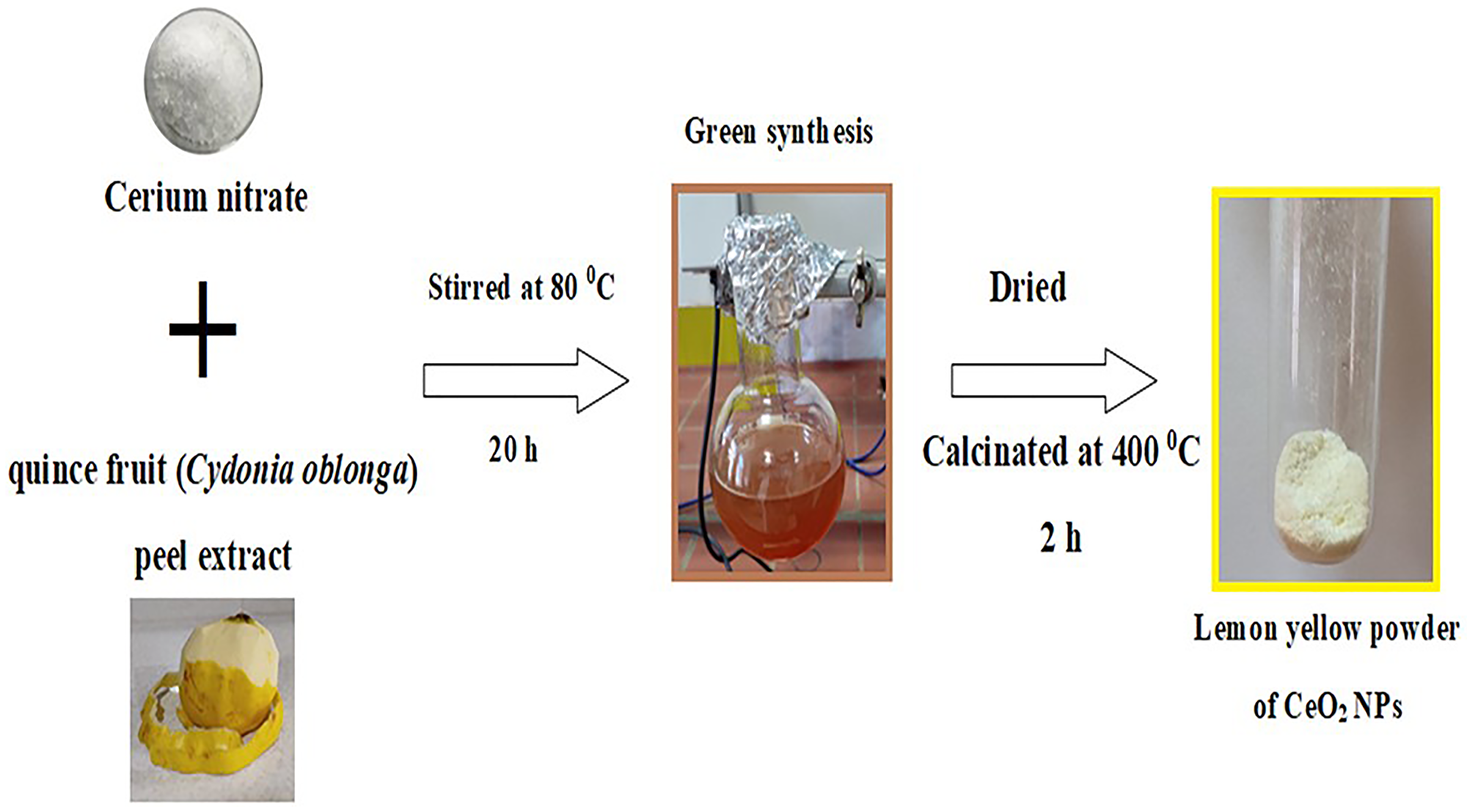 A schematic diagram for the generation of CeO2 NPs using Cydonia oblonga peel extract