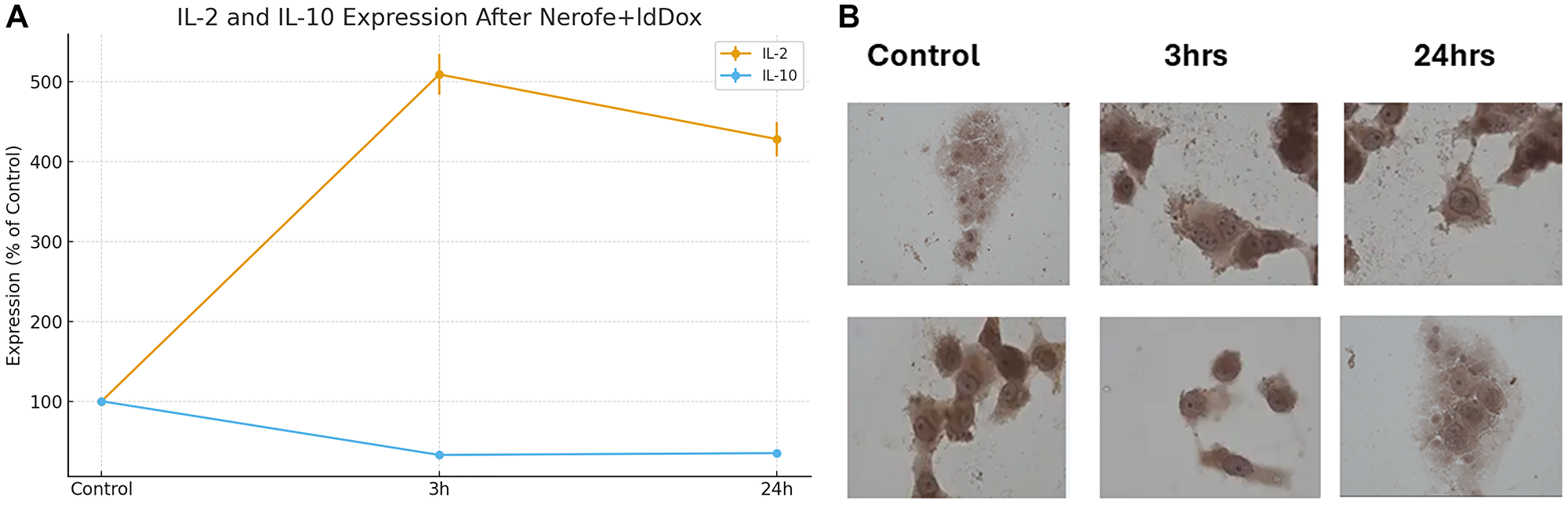 Treatment of PANC-1 cells with Nerofe in combination with low-dose doxorubicin (ldDox) produced opposite effects on IL-2 and IL-10 expression