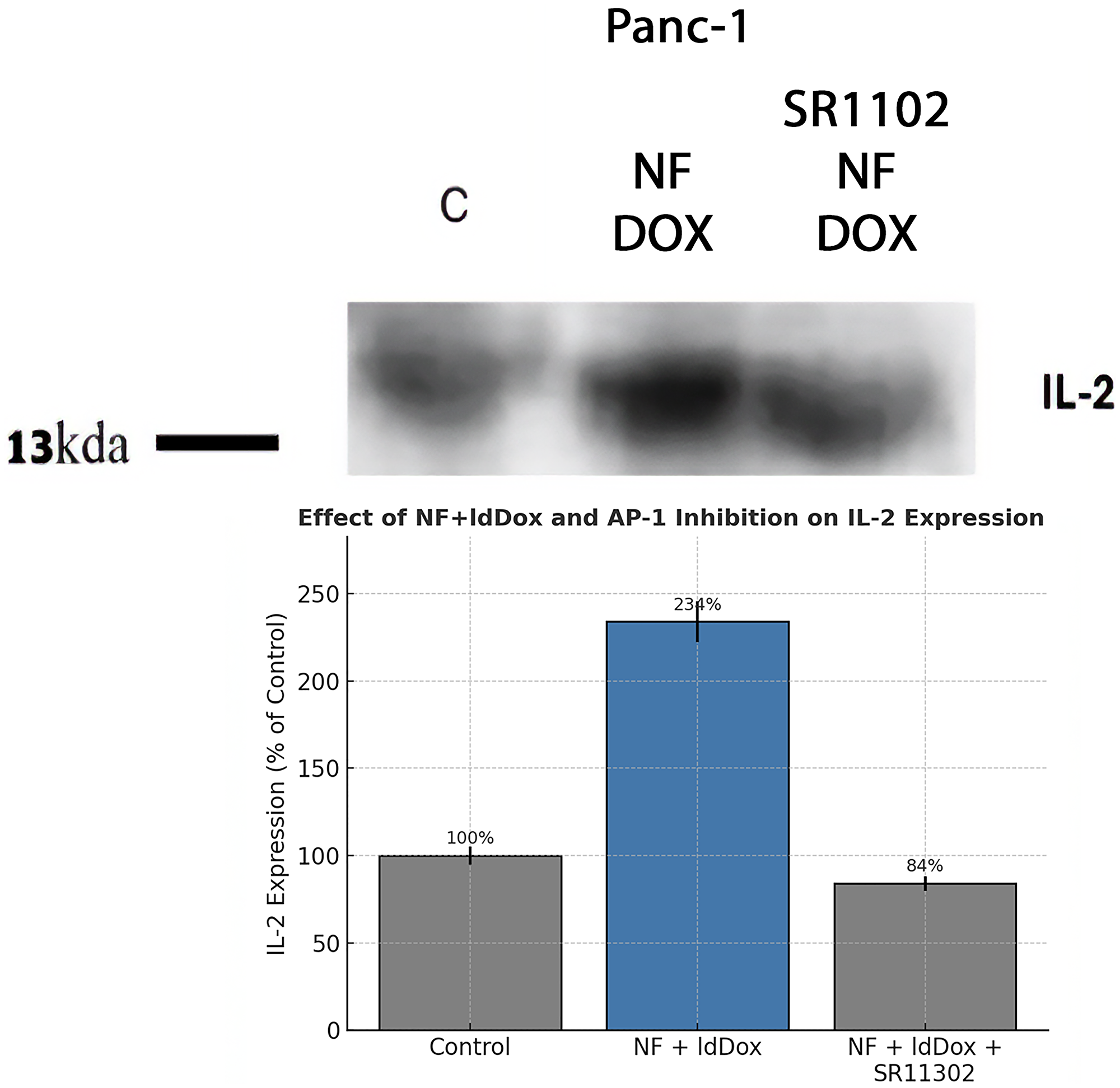To determine whether IL-2 induction was mediated by AP-1, PANC-1 cells were treated for 3 h with Nerofe+ldDox in the presence or absence of the AP-1 inhibitor SR11302