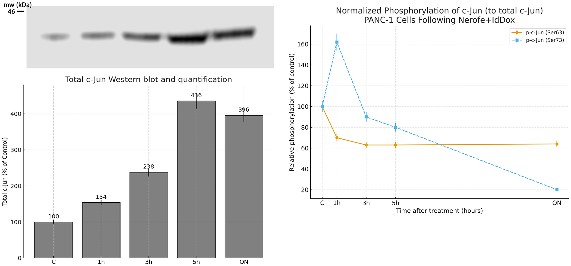 PANC-1 cells were treated for the indicated times with Nerofe+ldDox
