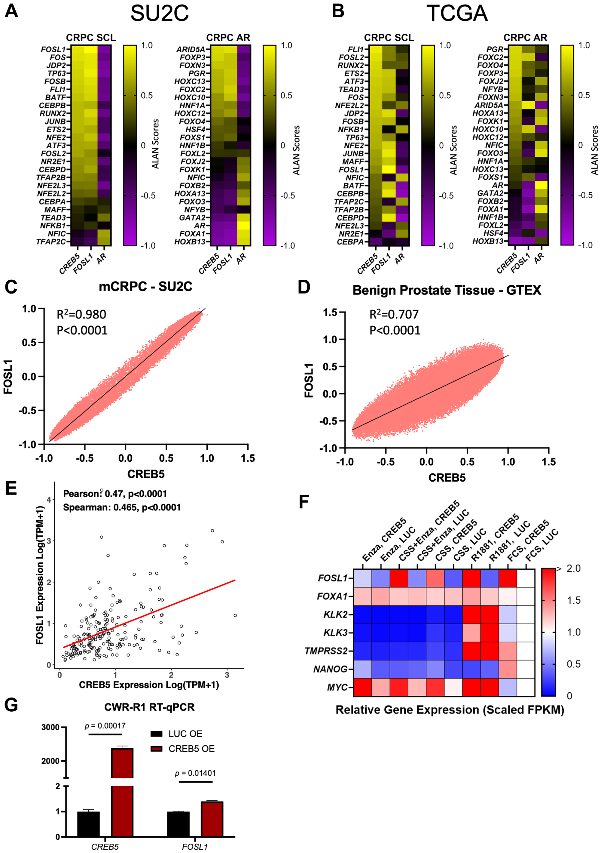 Gene behavior comparisons between CREB5, FOSL1, or AR and SCL, or AR CRPC signatures were established using the algorithm for linking activity networks (ALAN)