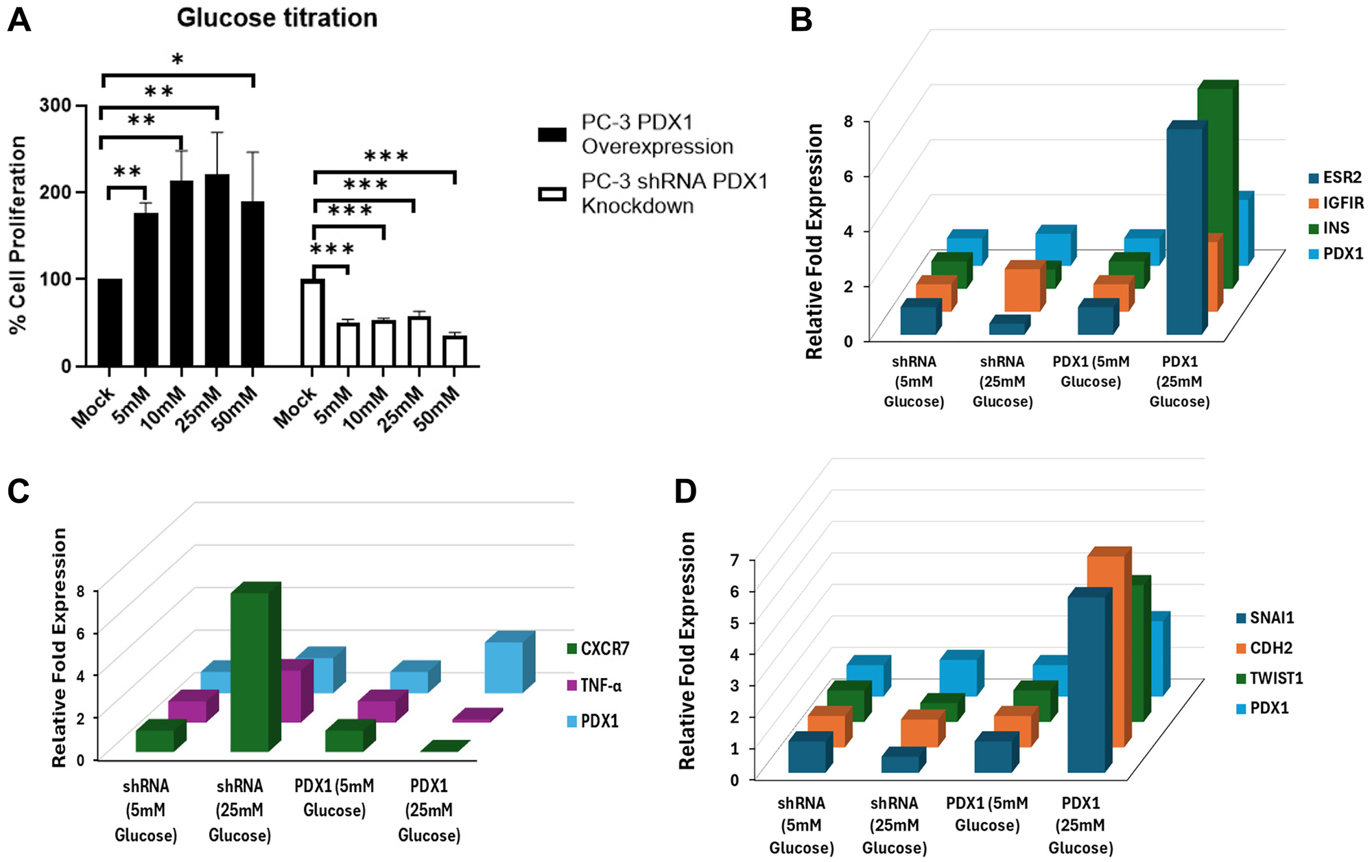 Analysis of glucose-dependent PDX1 activity and metabolic markers in prostate cancer cells