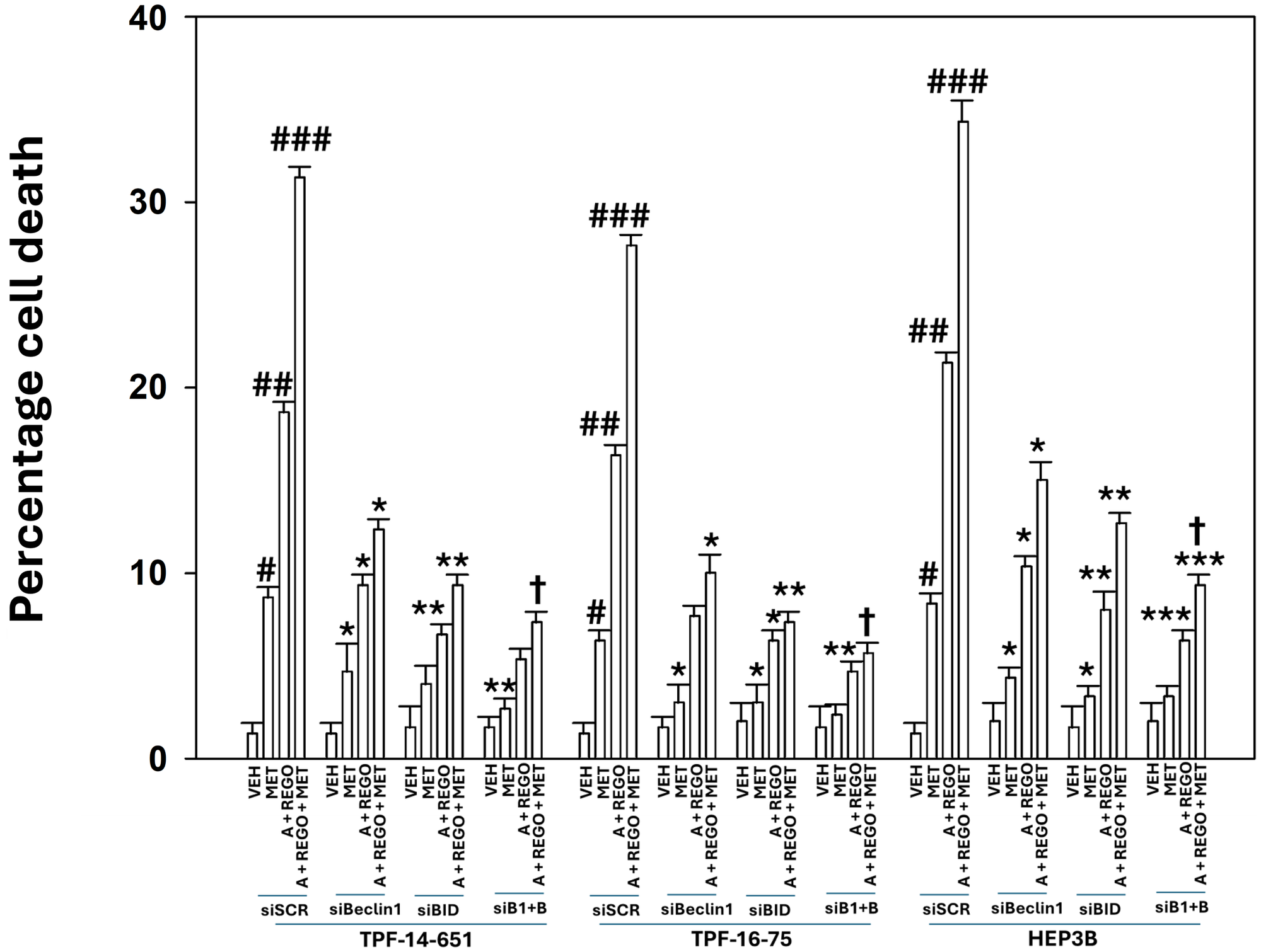 Metformin increases tumor cell killing caused by [aramchol and regorafenib], which requires macroautophagy and signaling through BID