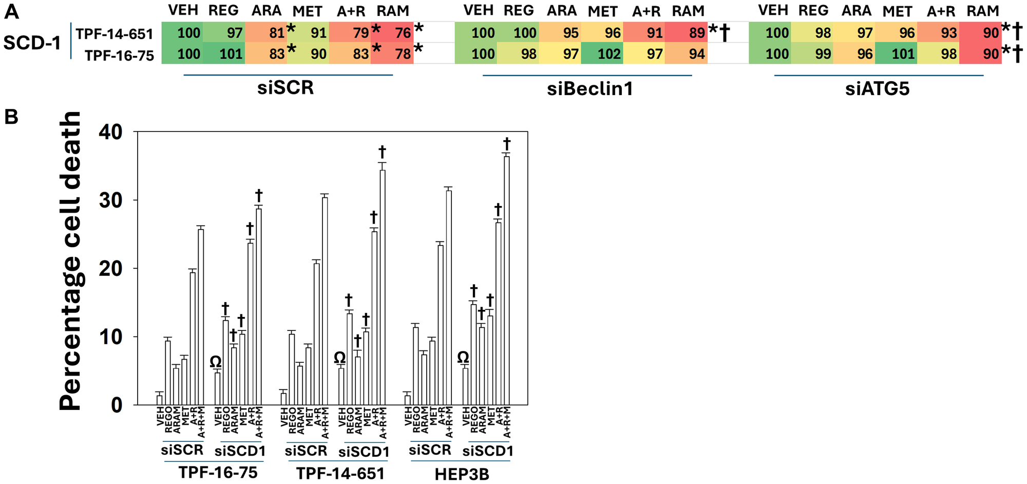 Down-regulation of SCD1 by aramchol requires macroautophagy
