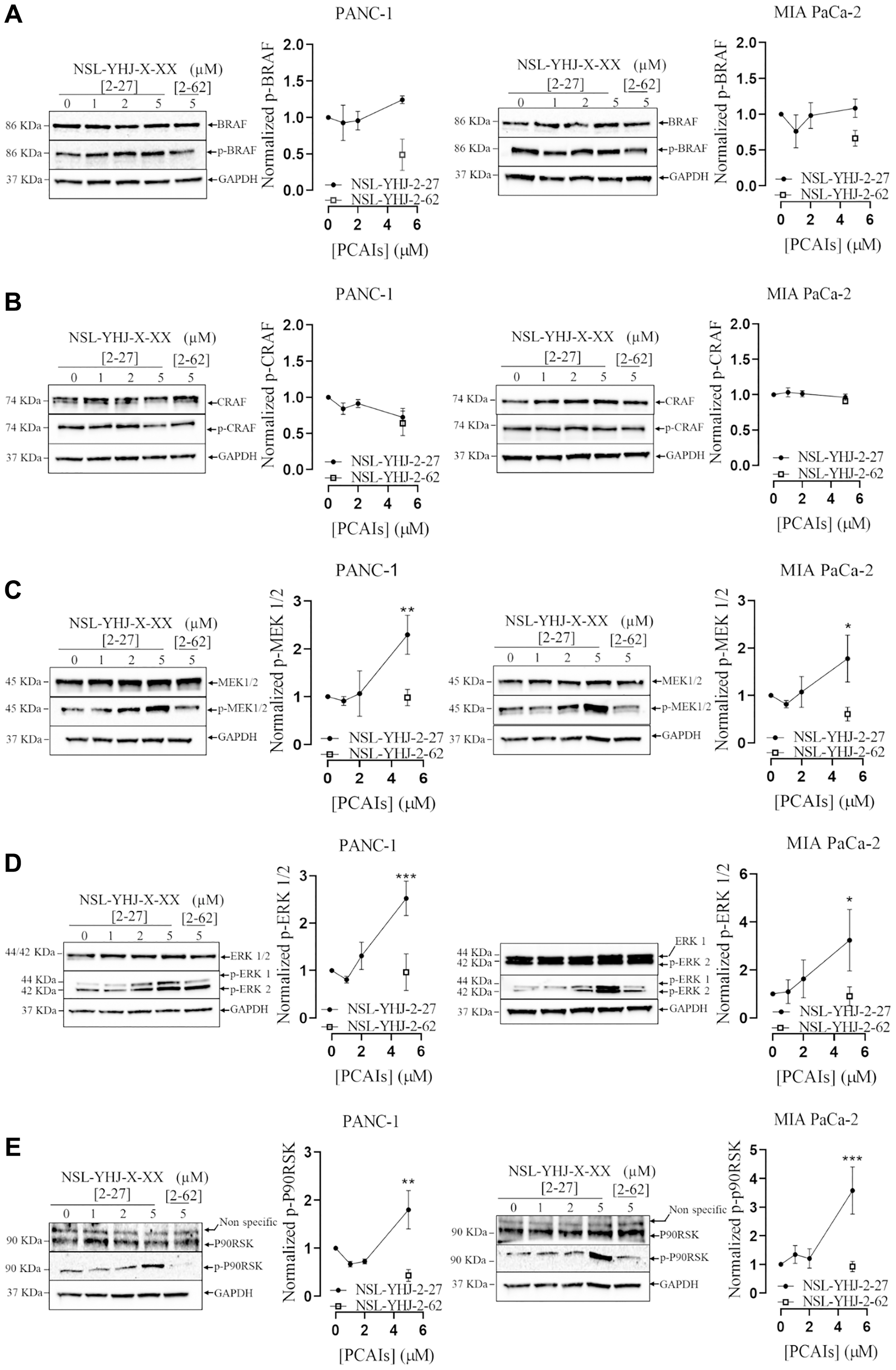 PCAIs stimulate MAPK protein phosphorylation