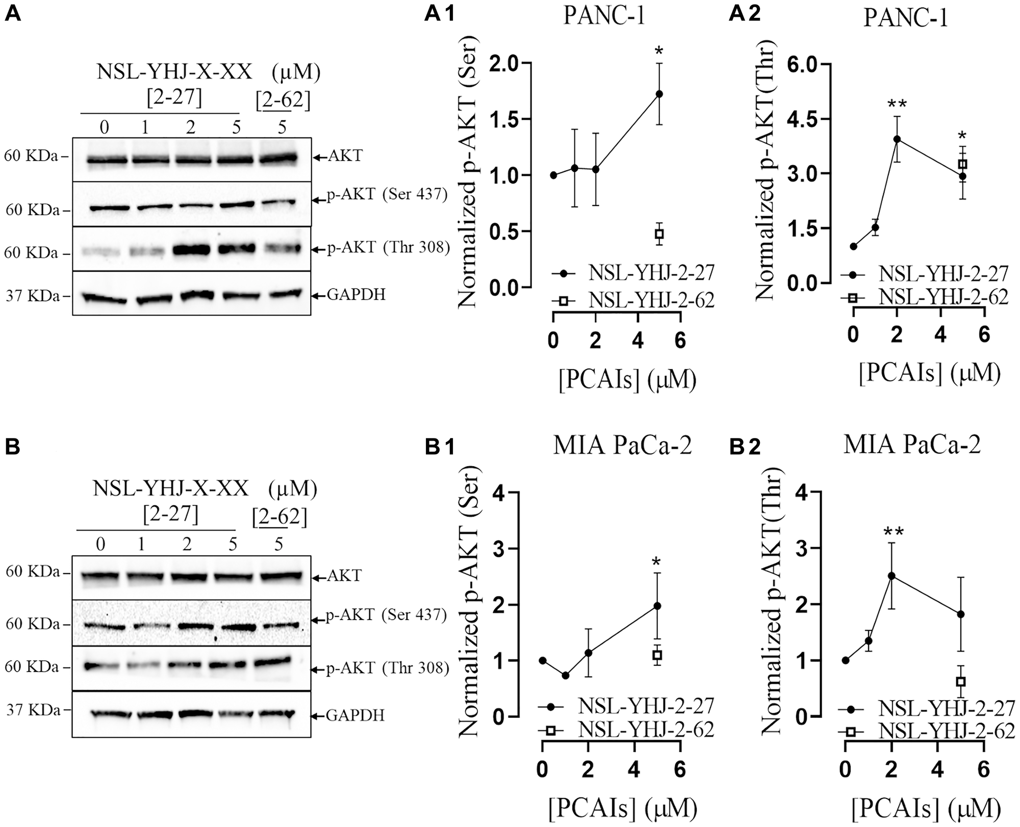 PCAIs stimulate the phosphorylation of the PI3K/AKT pathway proteins