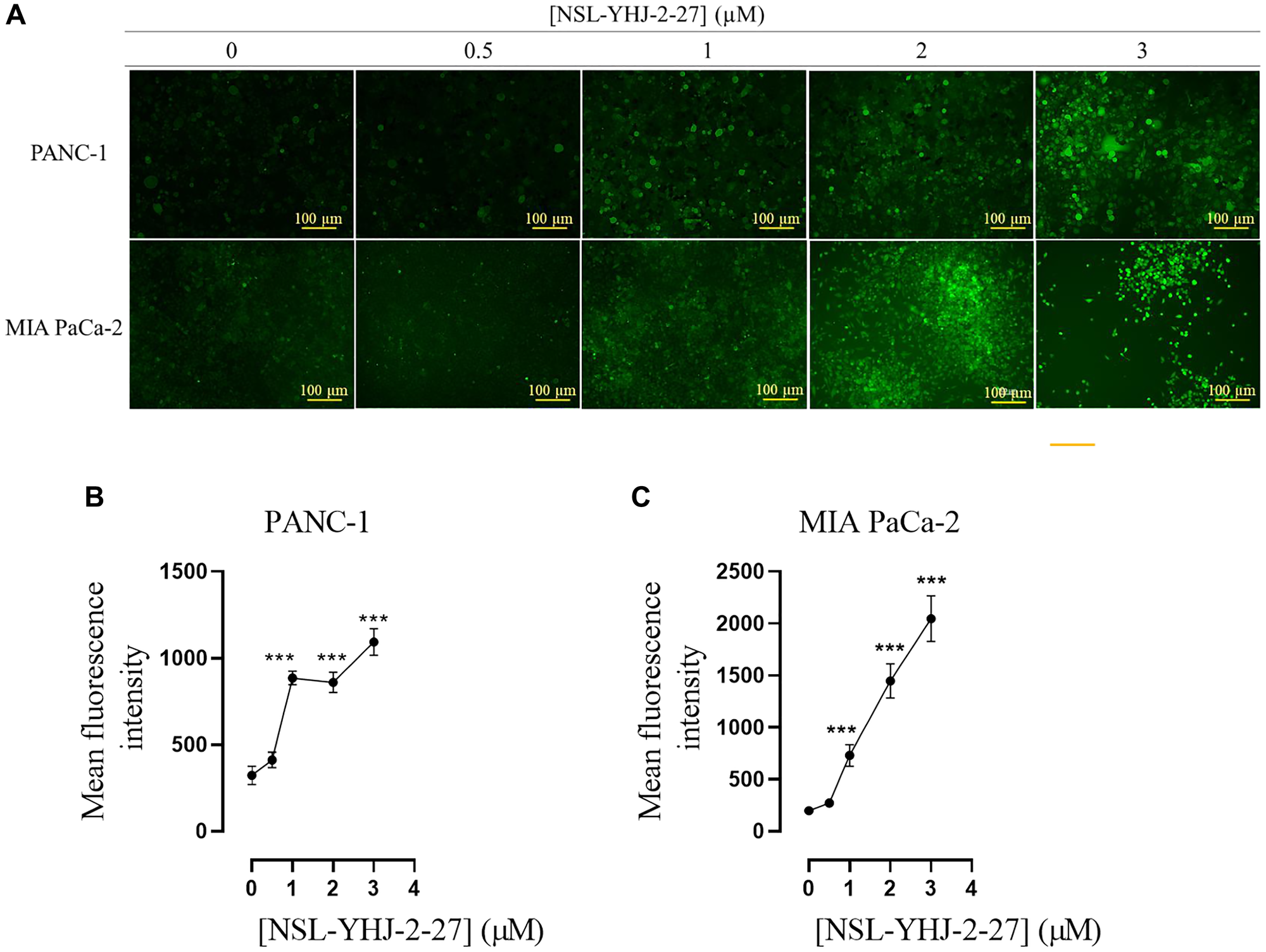 PCAIs stimulate the production of ROS in PANC-1 and MIA PaCa-2 cells