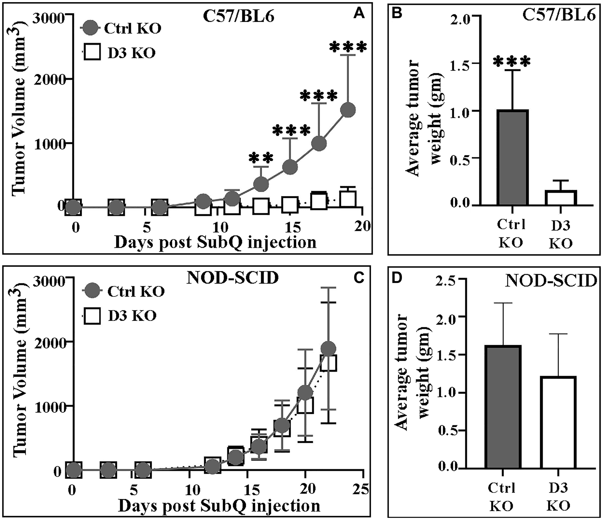 (A) Mean volumes for tumors derived from Ctrl KO (#156) and D3 KO (#54) B16F10 melanoma cells in C57/BL6 mice (n = 15 mice; ***P $!--ESC