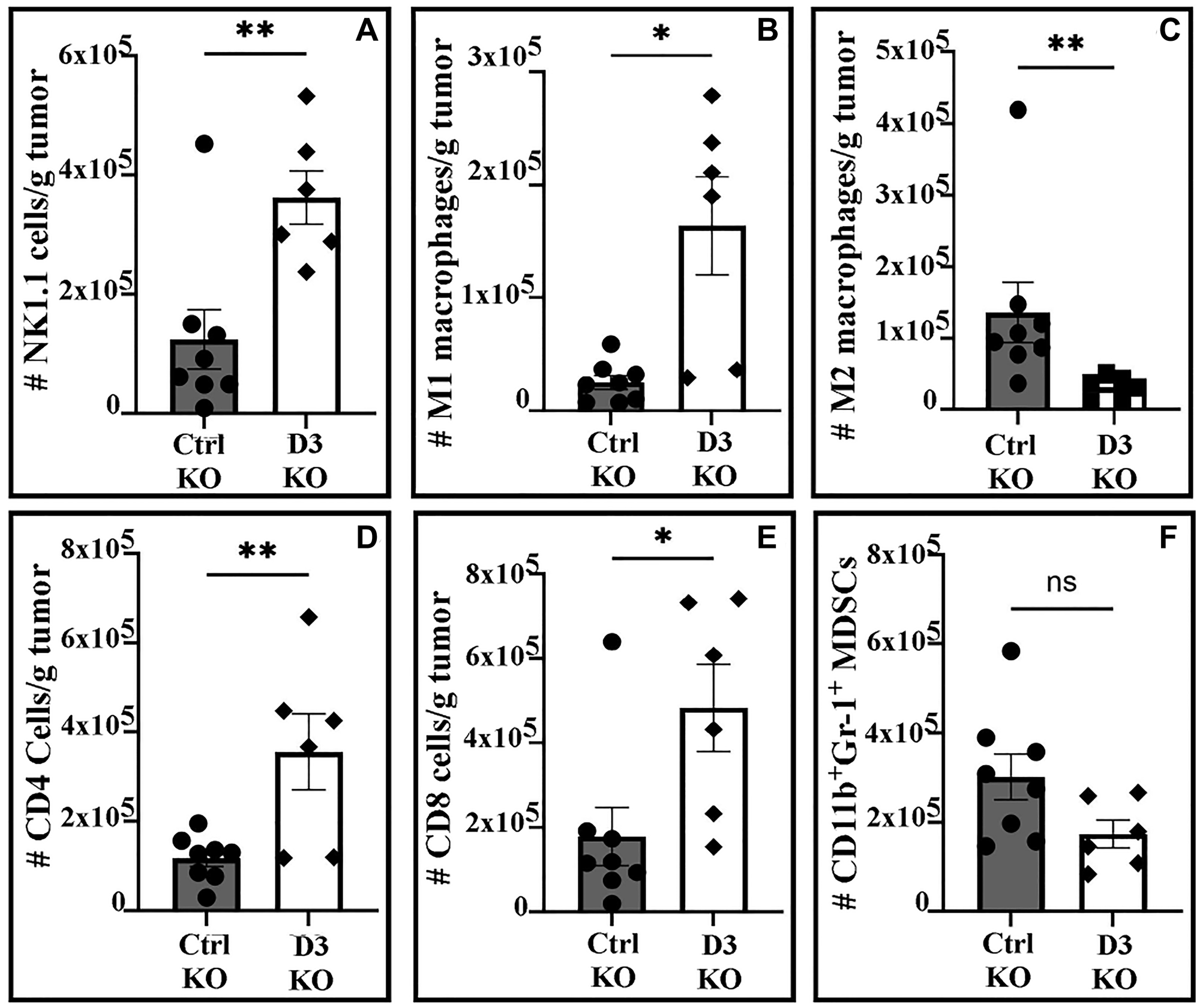 Immune cell numbers/gram of tumor from C57/BL6 mice