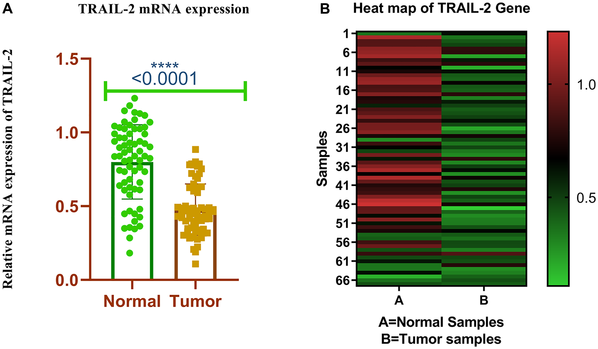 (A) Relative mRNA expression of TRAIL-R2 receptor in breast tumor and adjacent normal tissues. (B) Heat map plot (analysed by graph pad prism version 8.0.2) of TRAIL-R2 mRNA relative expression (fold change) in breast cancer cases and adjacent normal tissues.