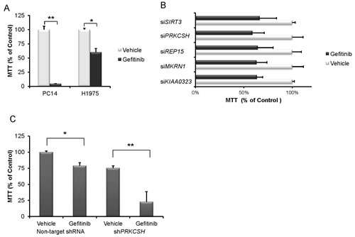 fig1a
