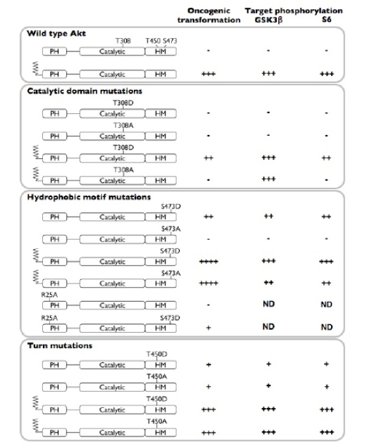 Fig4.tiff