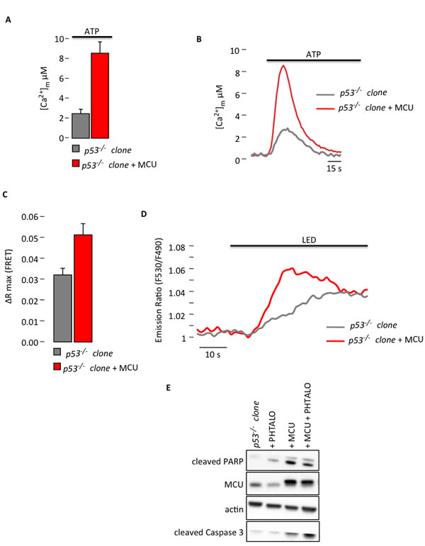 fig3