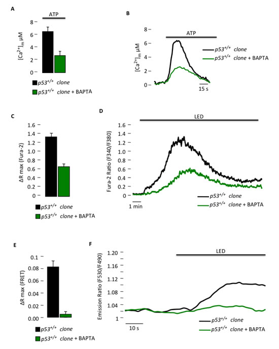 fig5a