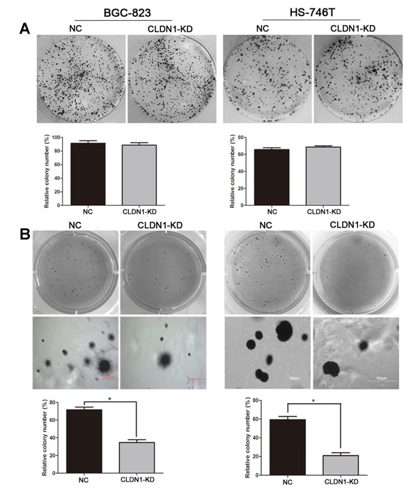 fig1