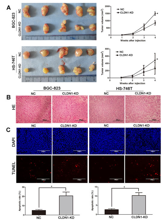fig3