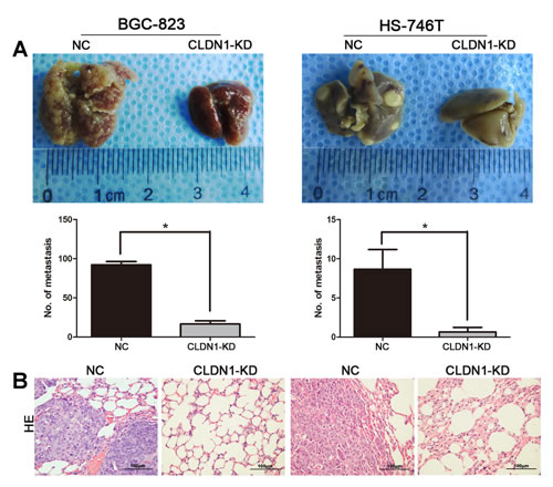 fig4