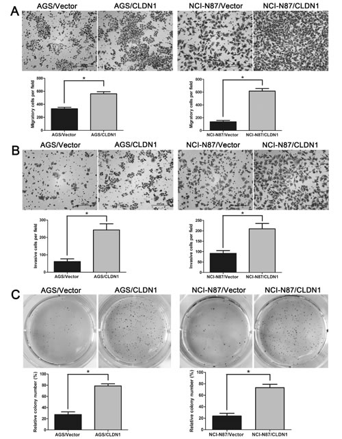 fig6