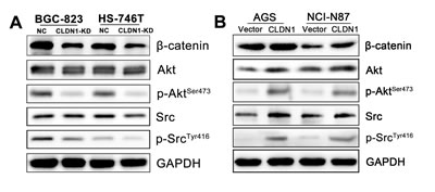 fig8