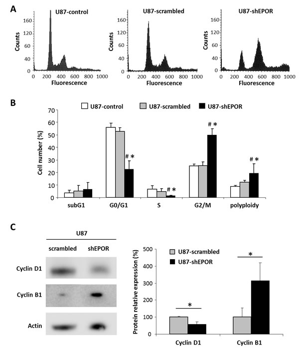 fig1
