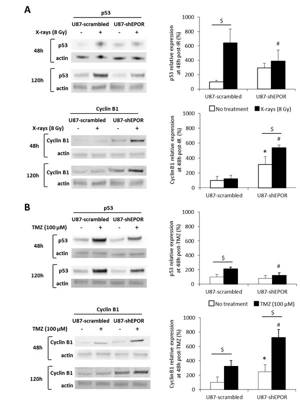 fig8