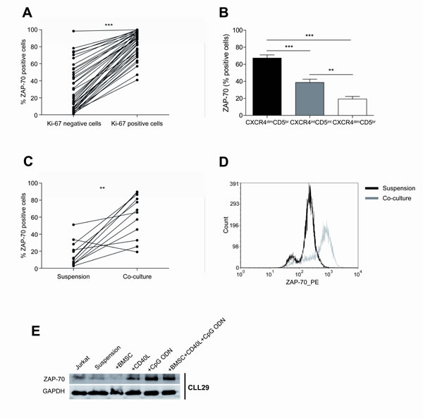 fig4