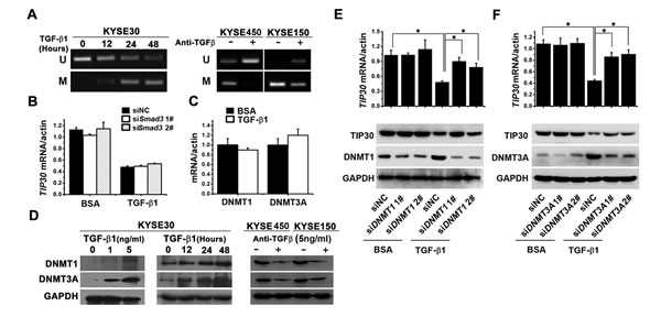 fig3