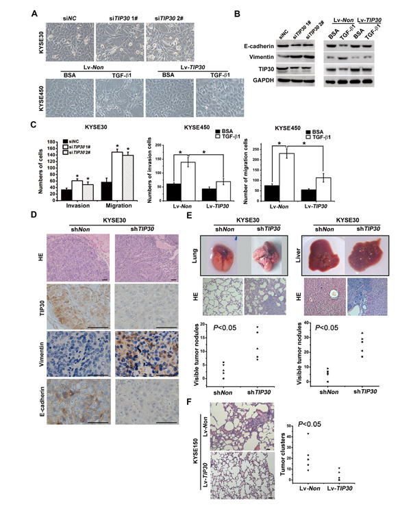 fig4