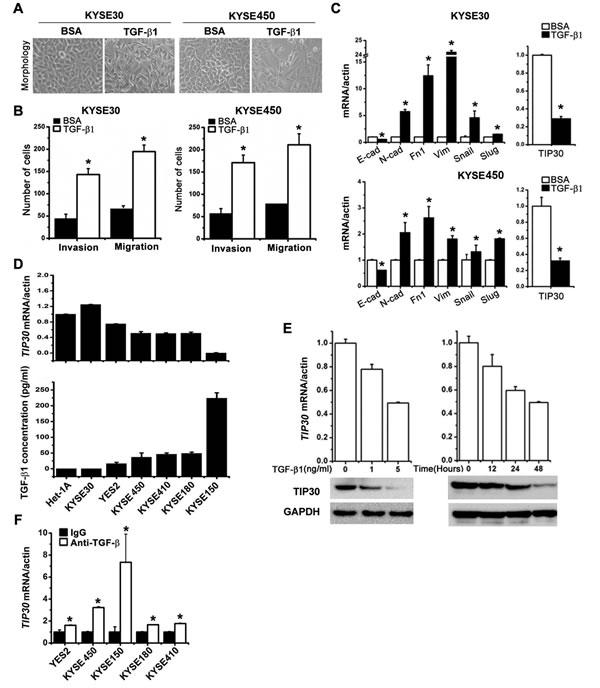 fig1