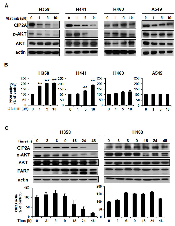 fig2