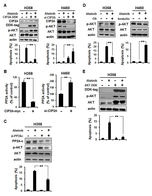 fig3