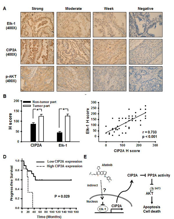 fig6