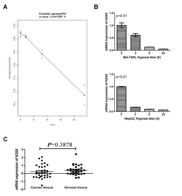 fig1
