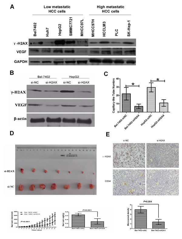 fig3