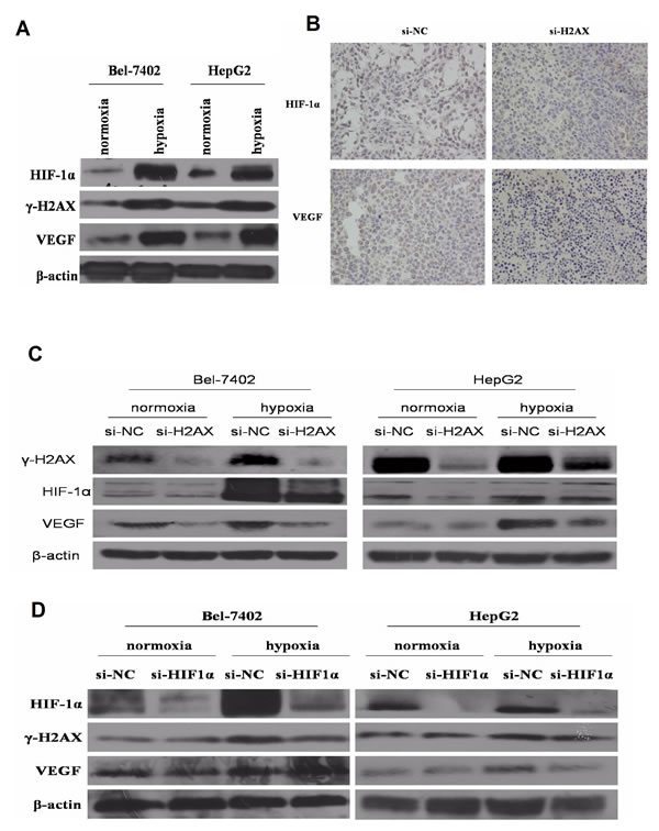 fig4