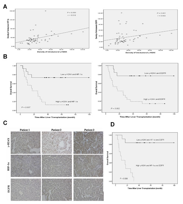 fig6