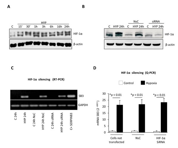 fig2