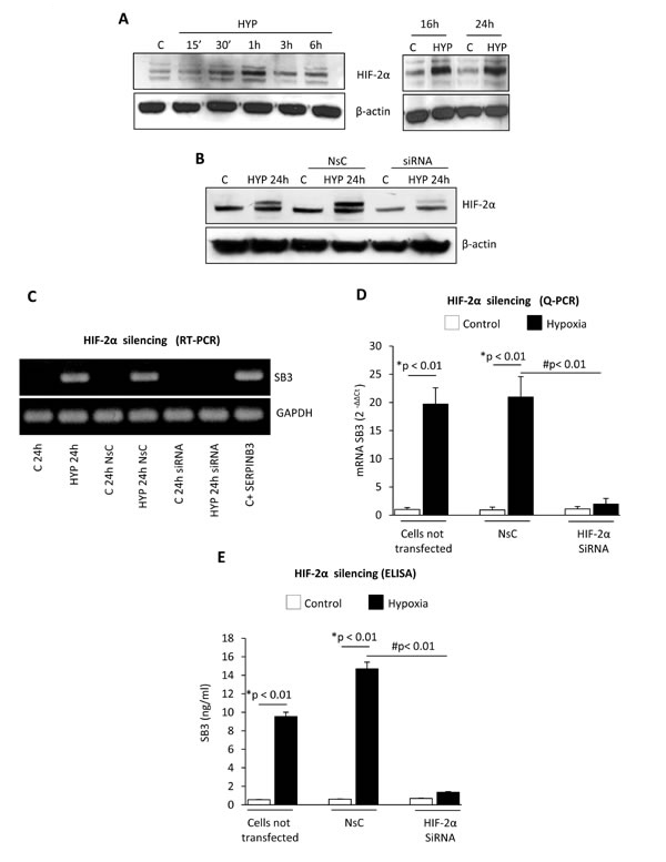 fig3