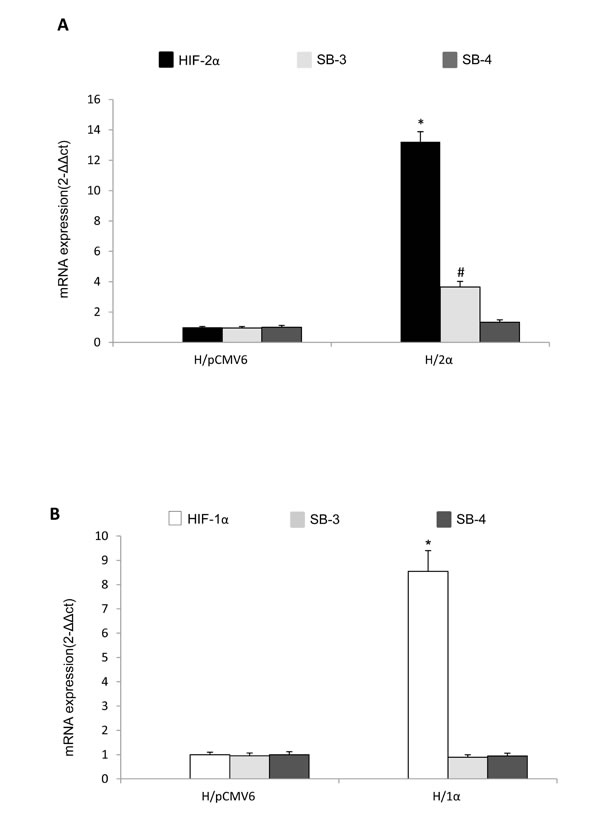 fig4