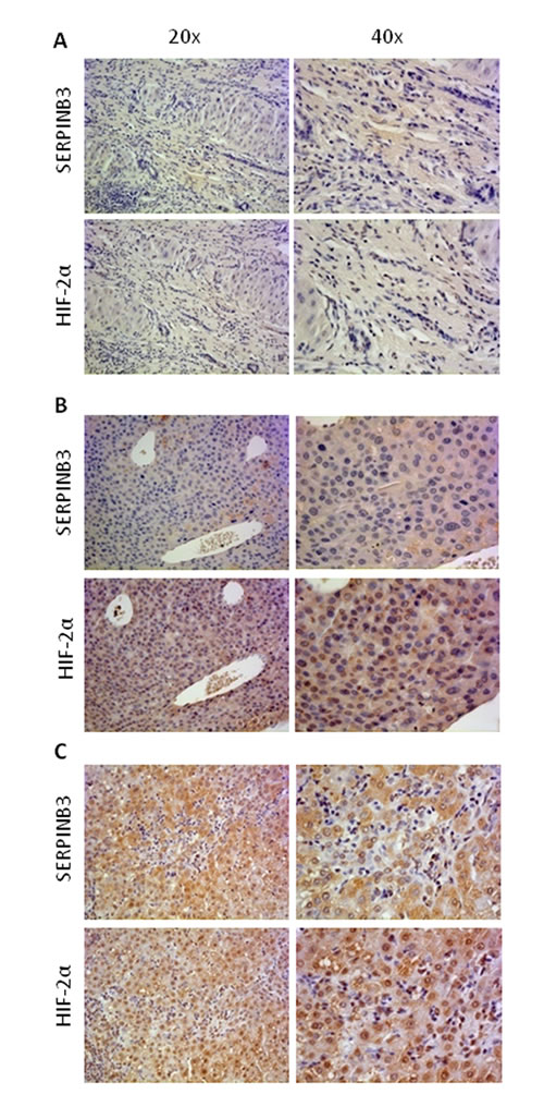 fig7a