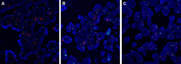 fig1