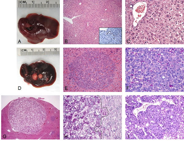 fig1