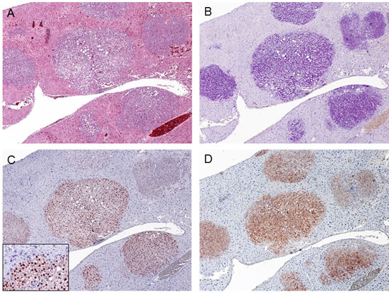 fig2