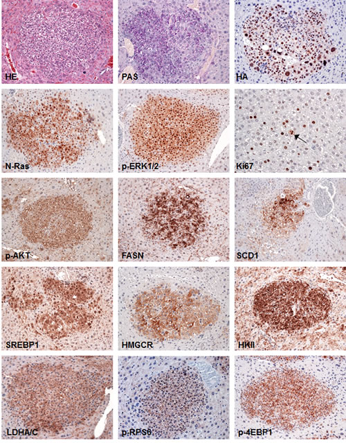 fig3