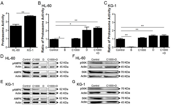 fig3
