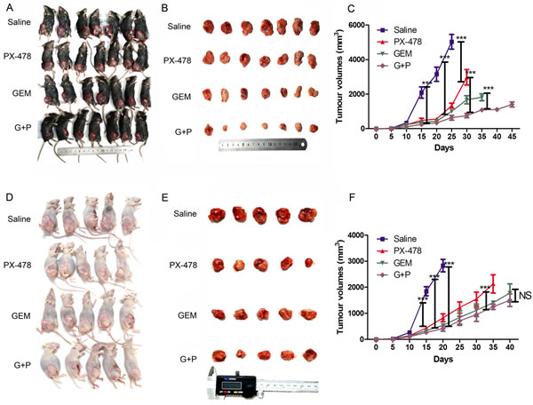 fig1