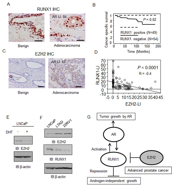 fig6