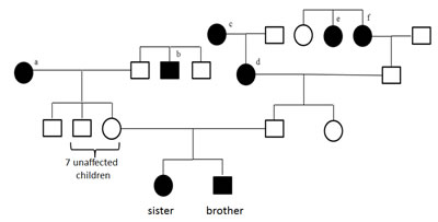 fig1