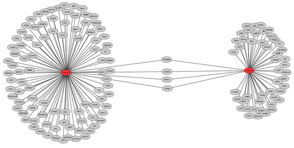 fig5