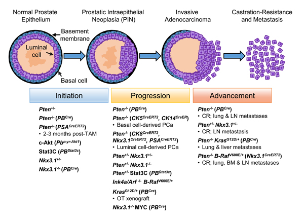 fig3